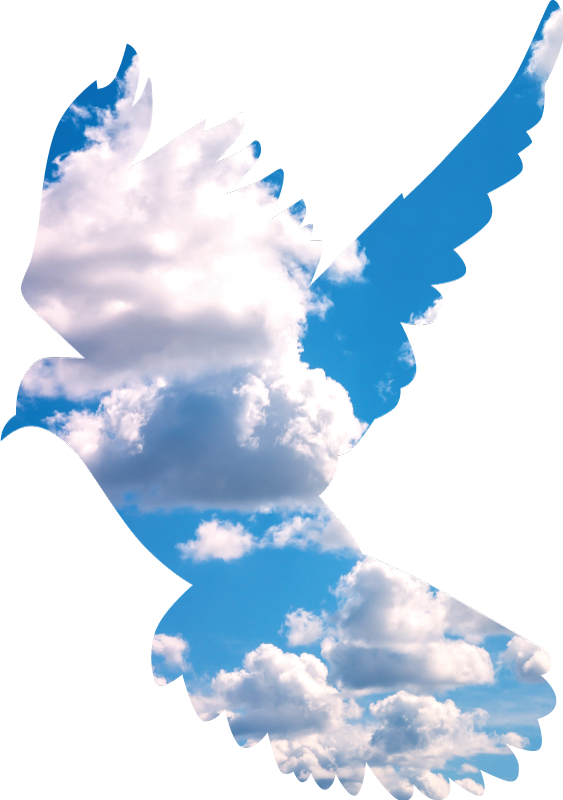 T-shirt Colombe Surréalisme - TenStickers