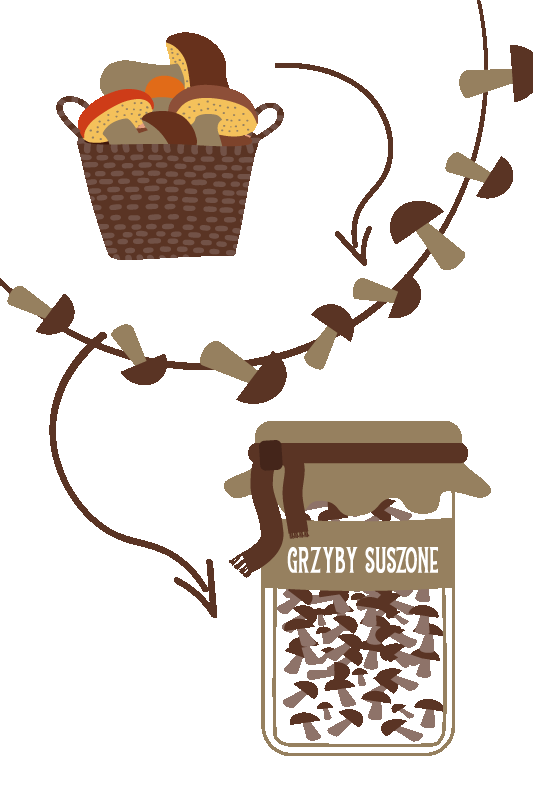 Koszulka Suszone grzyby - TenStickers