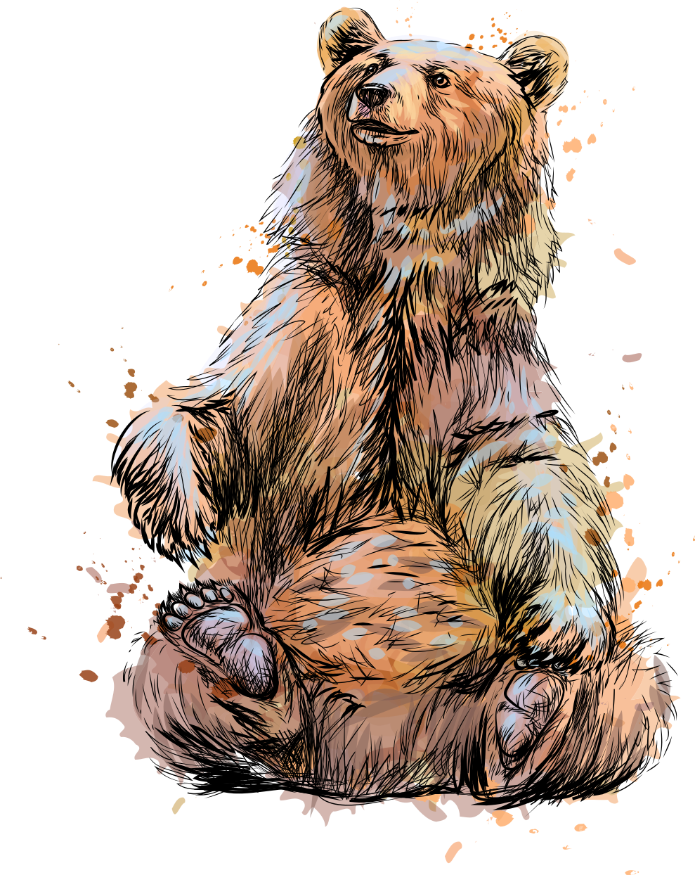 Koszulka Brązowy niedźwiedź - TenStickers