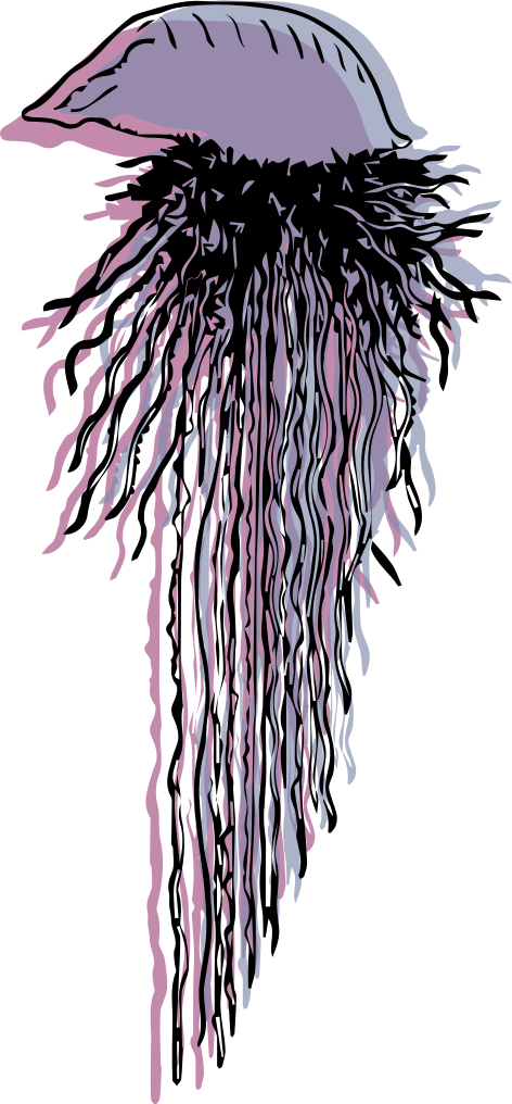 T-shirt portuguesa "caravela" personalizada - TenStickers