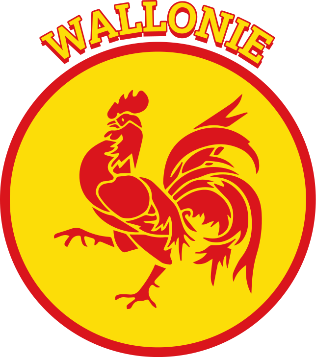 T-shirt Bélgique Région Wallonne - TenStickers