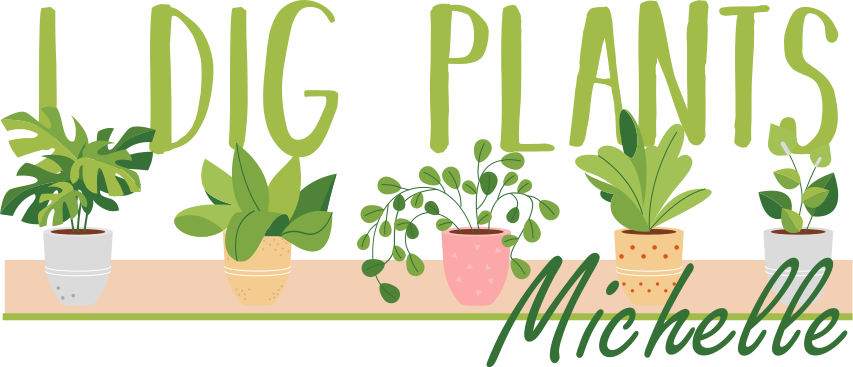 I Dig Plants T-shirts with name - TenStickers