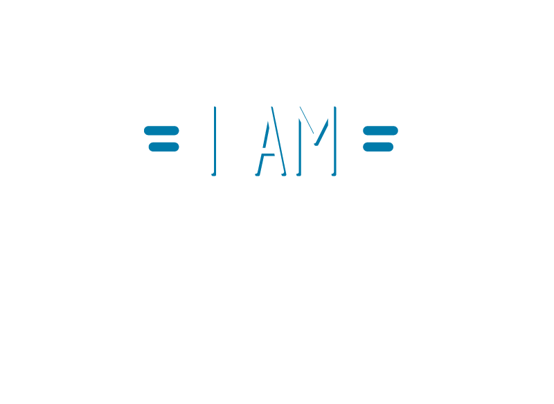 Crazy auntie  Auntie and nephew  t shirt - TenStickers