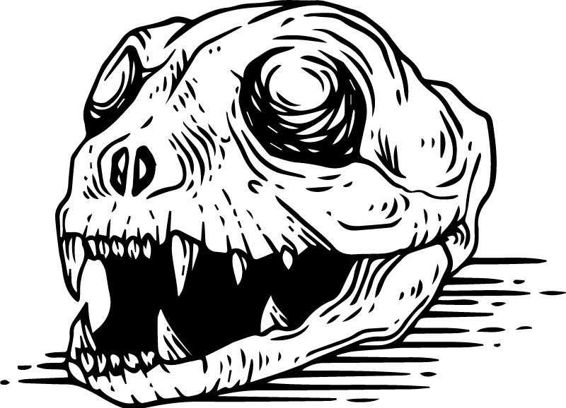 T-shirt met katten schedel - TenStickers