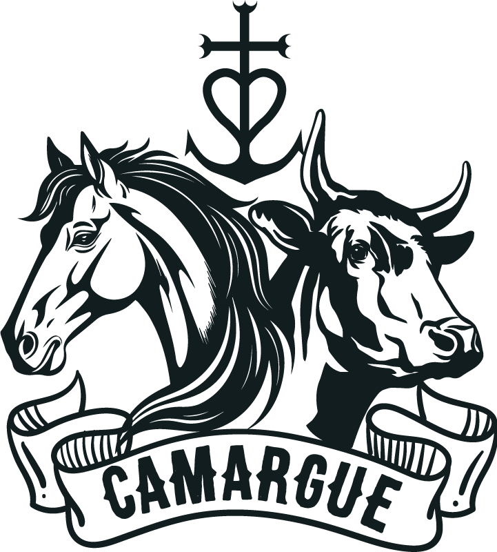 T-shirts cheval et taureau Camargue - TenStickers