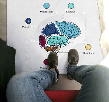 vintage Medical brain vintage rug - TenStickers