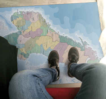 Svensk karta med provinsens världskarta matta - Tenstickers