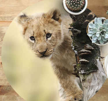 Dyr sød lille løve vinyl tæppe - TenStickers