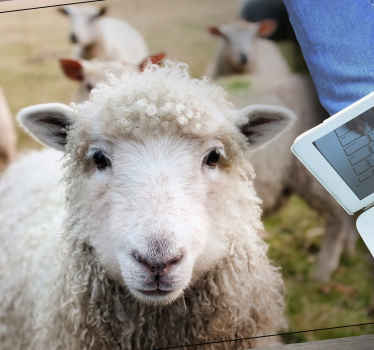 Krøllet fåreansigt vinyltæpper med dyr - TenStickers