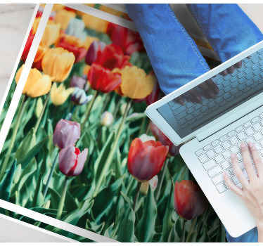 Tulpanfält med wind mil blommig matta - Tenstickers