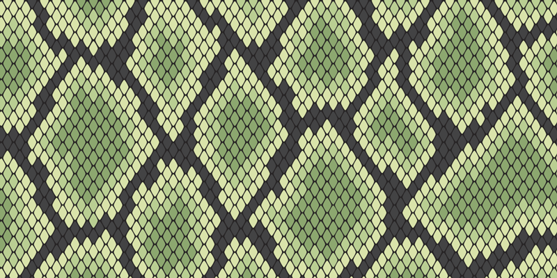 Green snakeskin animal print vinyl carpet - TenStickers