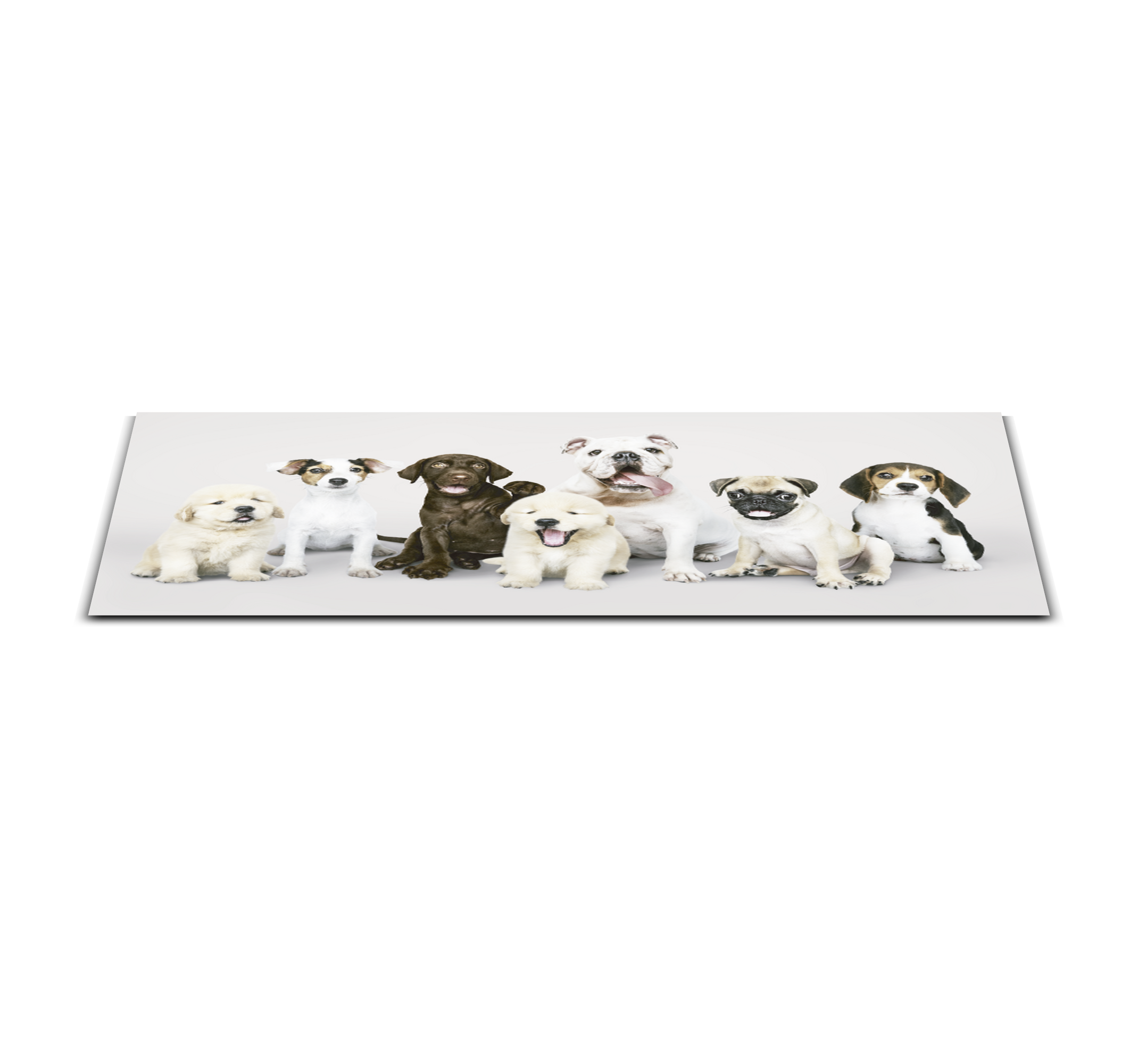 Dogs in a line animal vinyl carpet - TenStickers