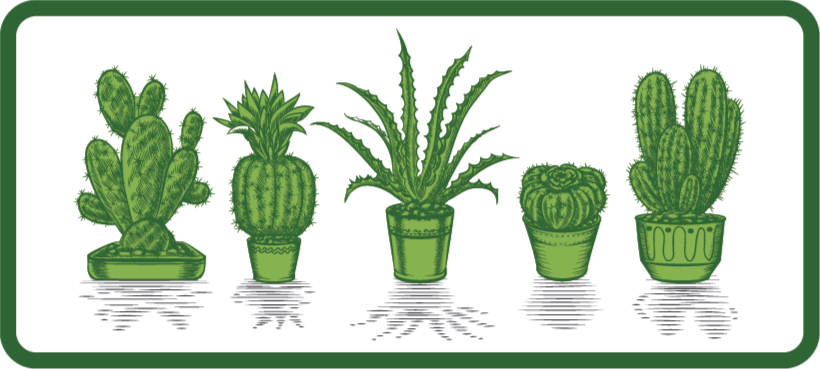 Alfombra vinilo flores Cactus – Alfombras de vinilo