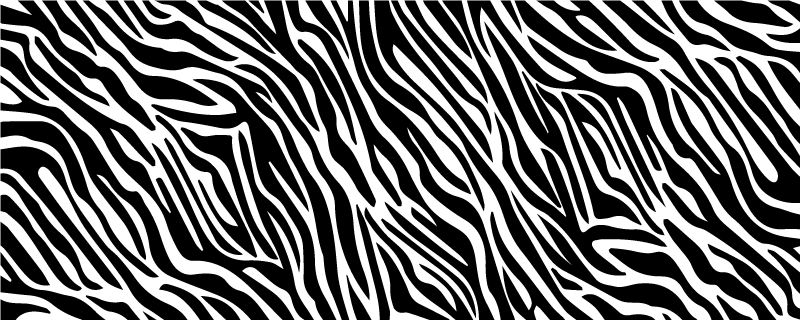 forlænge Napier Mappe Thin zebra stripes animal print vinyl rug - TenStickers