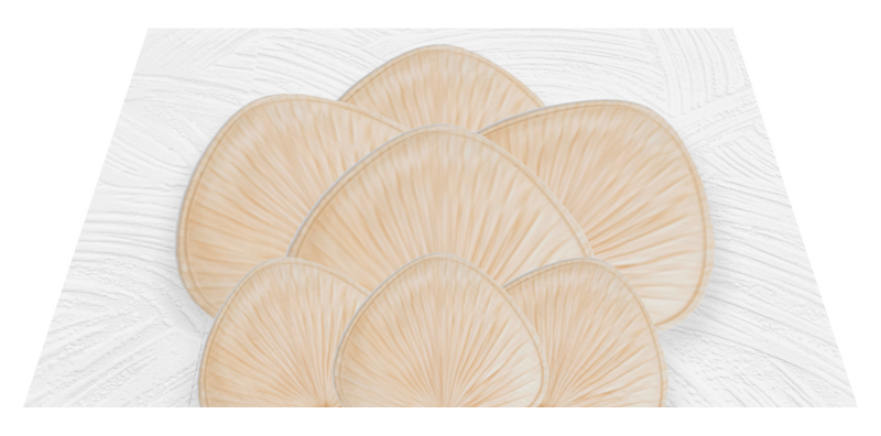 FMM Stampo Per Peonie – Set Di 4 Forme Per Petali, Decorazioni Per Torte, 16-45 Mm
