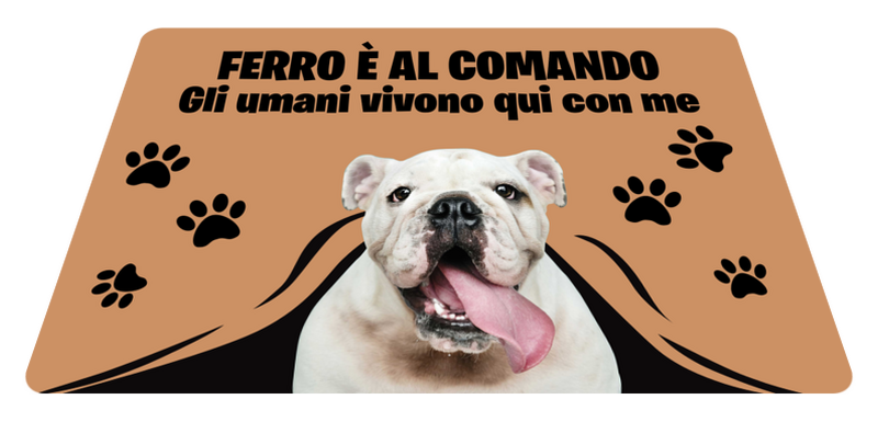 Copisteria e stampe personalizzate a Grado | Nuova Copia