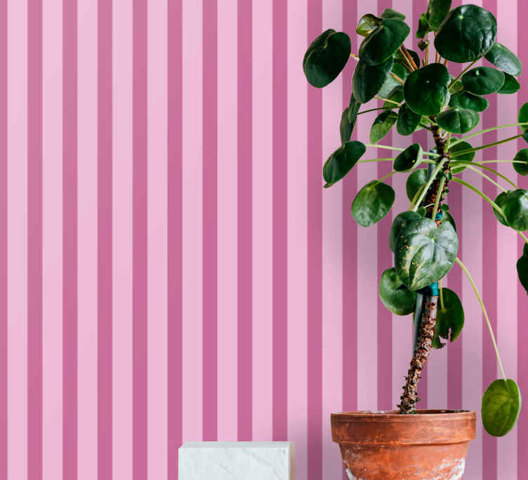 48 Pink and White Striped Wallpaper  WallpaperSafari