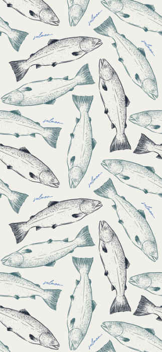Iphone Wallpaper Salmon Sashimi  照片图像