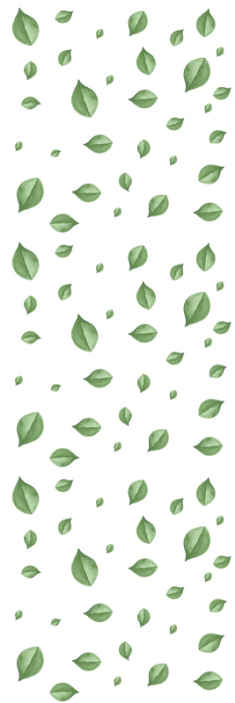 Scattered Leaves Pattern leaf wallpaper - TenStickers