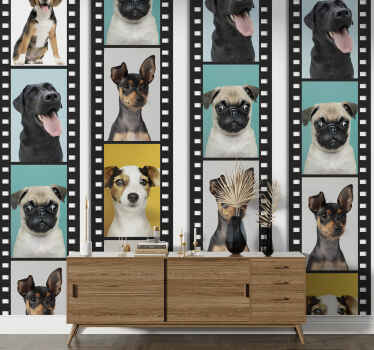 Papier peint chiens pellicule canine - TenStickers