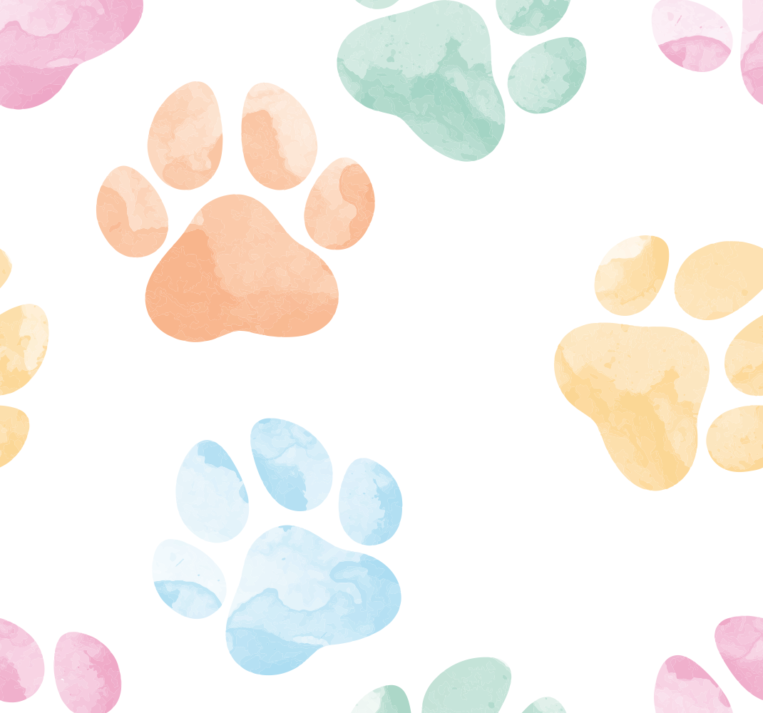 Colorful Dog Paw Prints HD Wallpaper by CelestialCanvas