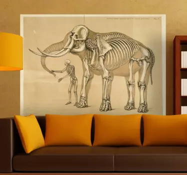 Mand og elefant skelet dekorativt mærkat - TenStickers