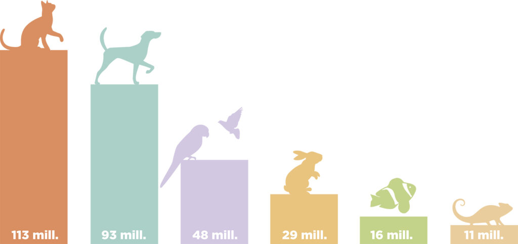 Crea - Pegatinas reutilizables - Animales en el espacio – Casa de Fieras