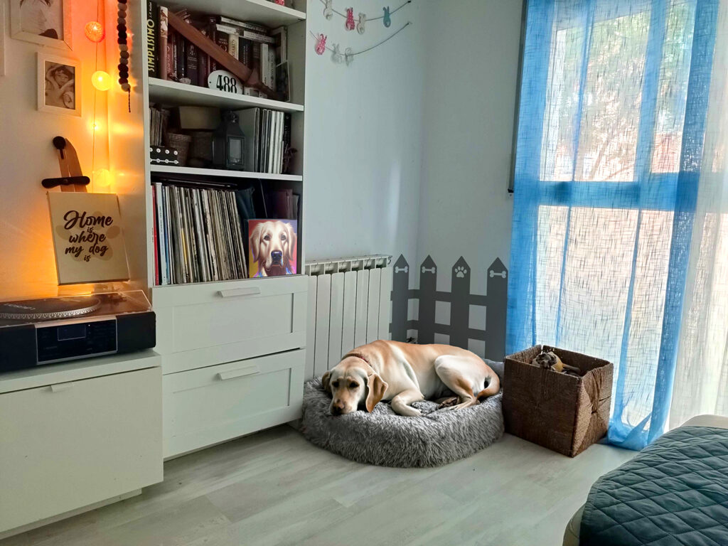 Lampe Veilleuse Bouledogue Français En Résine - Décoration LED 15x10 Cm, Lumière Chaude - Cadeau Pour Amoureux Des Chiens