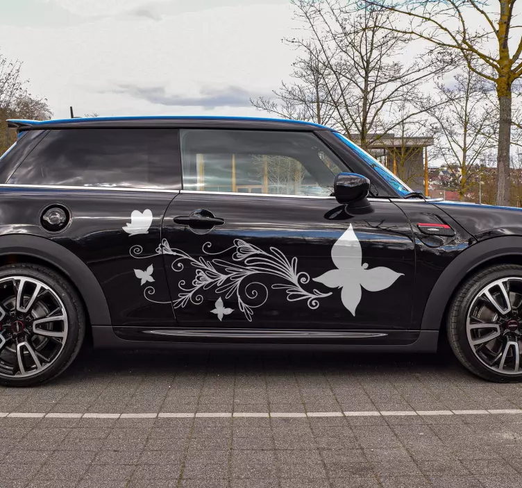 Quel est le type de stickers pour voiture?